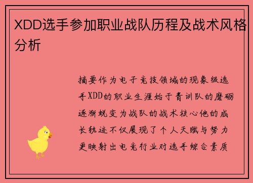 XDD选手参加职业战队历程及战术风格分析